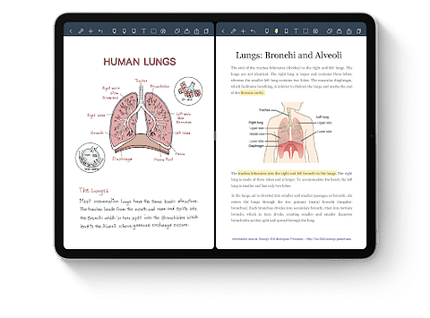 Best Note Taking app for iPad for college students