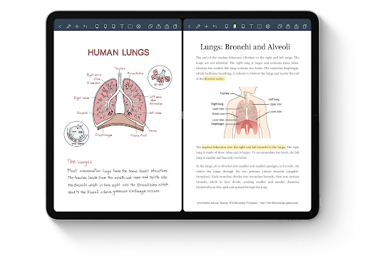 Best Note Taking app for iPad for college students