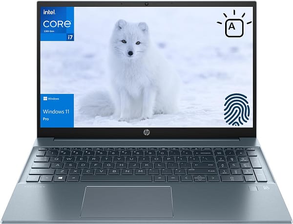 HP Pavilion Business Laptop